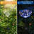 8 Modes Solar Outdoor Firework Lights 120 LED Waterproof Landscape Lights for 4th of July Decorations-1249471320
