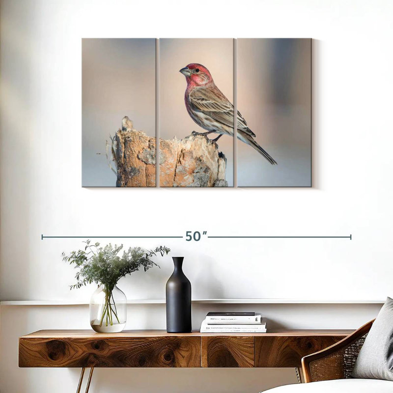 House Finch Bird, 24" H x 38" W
