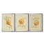 Dappled Oranges I - Toile tendue avec châssis sur mesure - 3 pièces-1819063002
