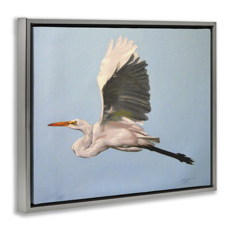 «Graceful Egret Flying Canvas» par D. Rust, Cadre flottant gris lustré, H 25 po x l 31 po