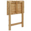 Folding Table