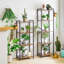 Jaquish Freestanding Bathroom Shelves