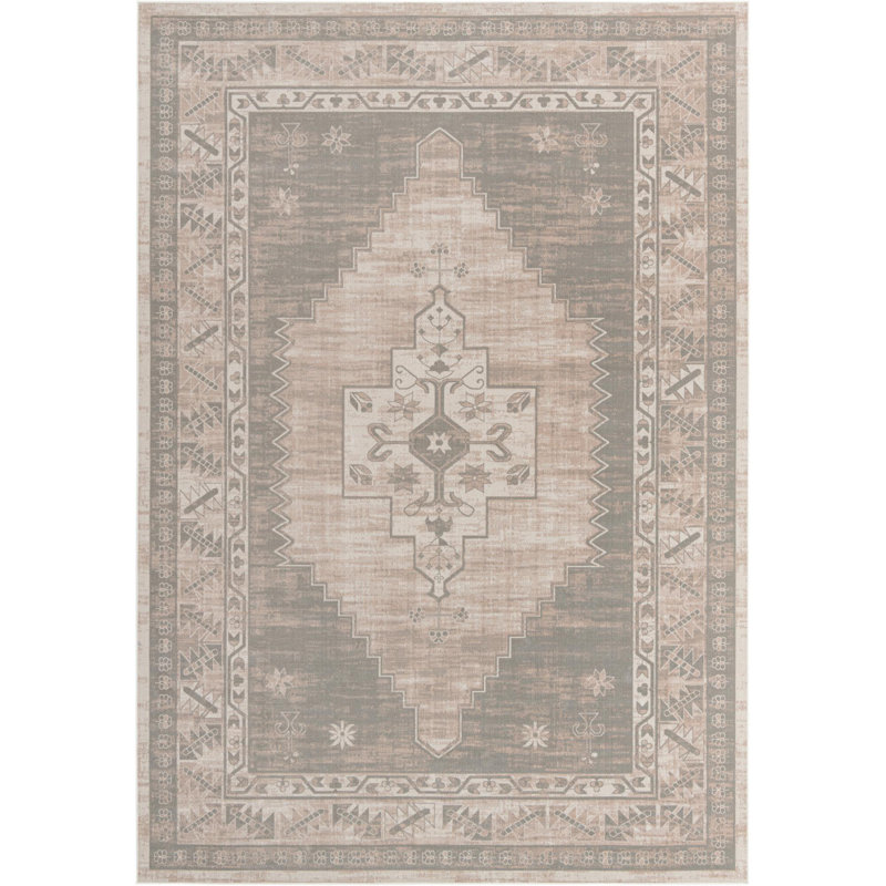 Matthei Oriental Indoor Rug, Rectangle 5' x 8'