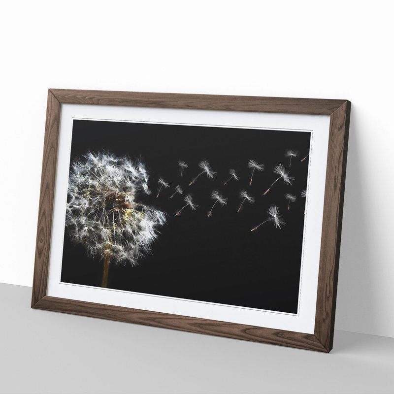 Dandelion Seeds Vol.10 - Picture Frame Graphic Art, 27cm H x 36cm W x 2cm D, Walnut Framed
