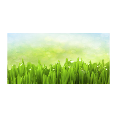 Grass - No Frame Print on Canvas