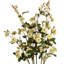 Arrangement-34404672