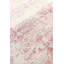 Oriental Area Rug