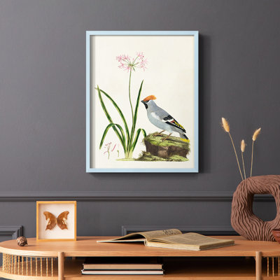 Bird in Habitat II, reproduction encadrée - bois massif