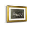 Vintage Floral VII  -4 Piece Set of Framed Prints