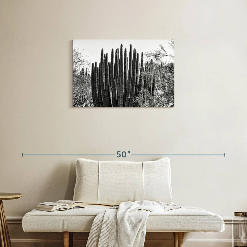 Harnek Black Arizona - Big Cactus, 20" H x 30" W