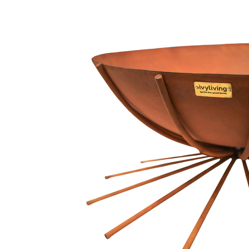  Steel Wood Burning Fire Pit