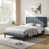 Dark Gray