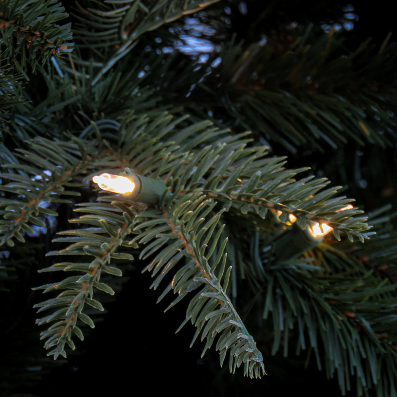 The Pine Aisle® 7,5 pi. Pin arrière éclairé avec lumières DEL