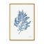 «Nature's Lace»-1296689984-1296689999