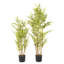 Faux Bonsai Plant in Freestanding-2141040006