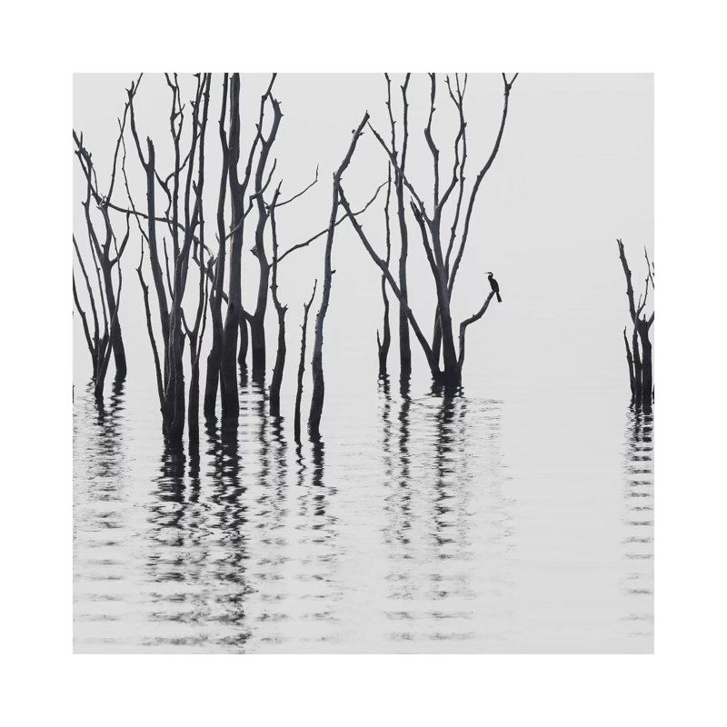 Africa, Zimbabwe, Matusadona National Park. Reflections on Lake Kariba. 1 Piece Wrapped Canvas Wall Art