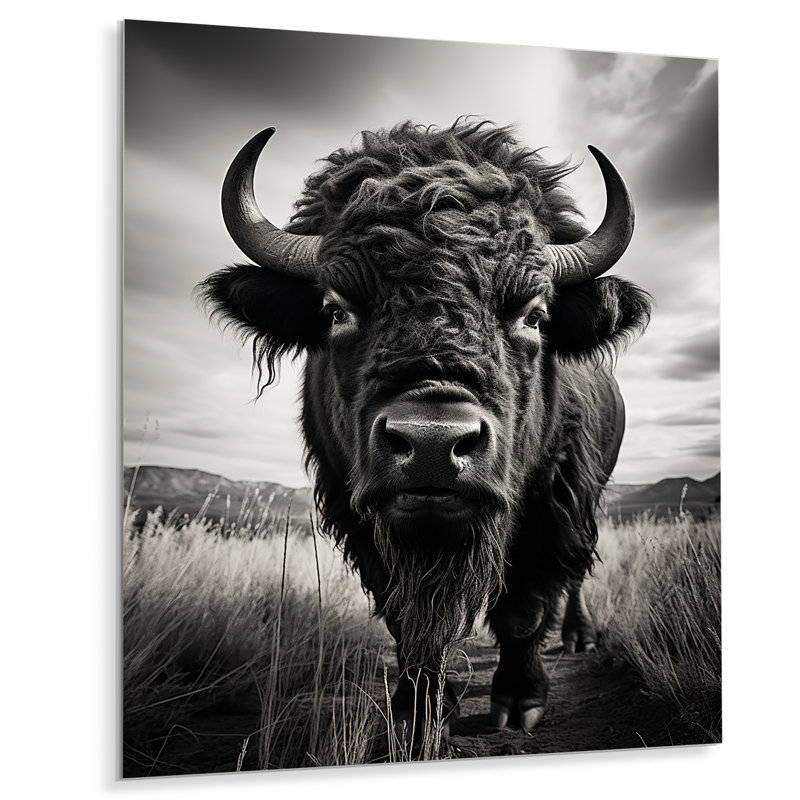 Bison Tales Of The Prairies - Reproduction d'art en métal, H 40 po x l 30 po x P 1 po