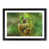 Black Framed selected