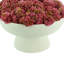 Sedum Arrangement in Ceramic Pedestal Vase-1474684363