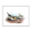 Illustration d'oiseau rétro II - impression sur toile-59707109-59779978
