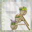 Ozie Wood Vertical Garden