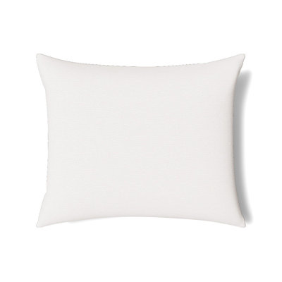 Asperitas Pillow