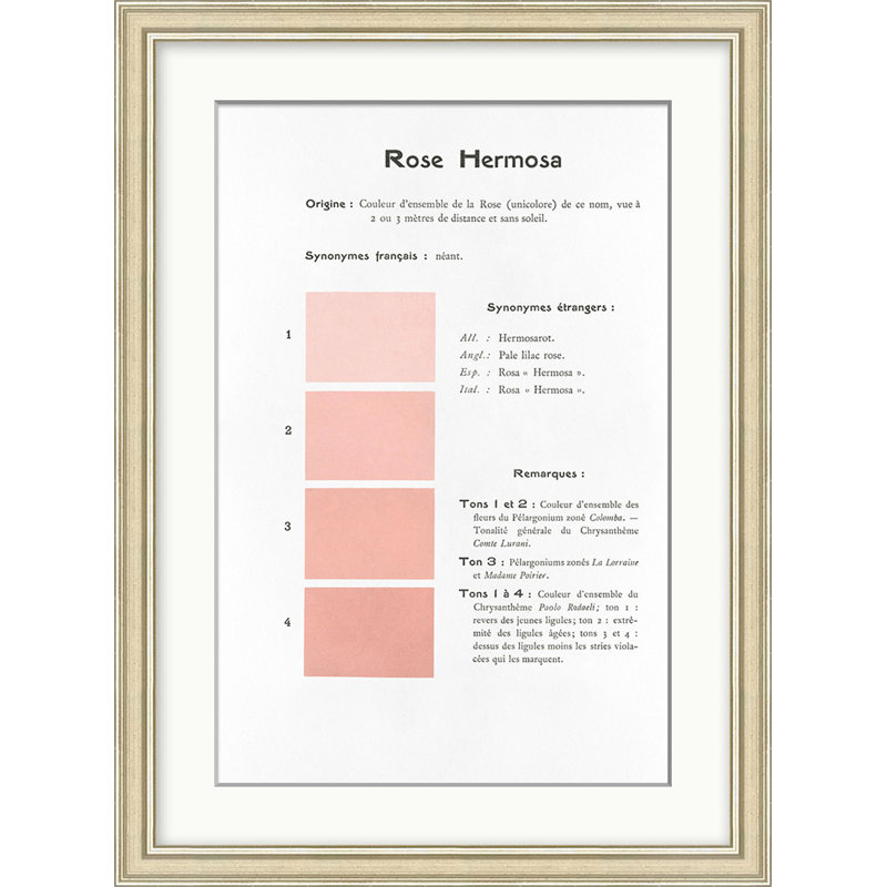 Pink 2 Print by Danielle Rollins