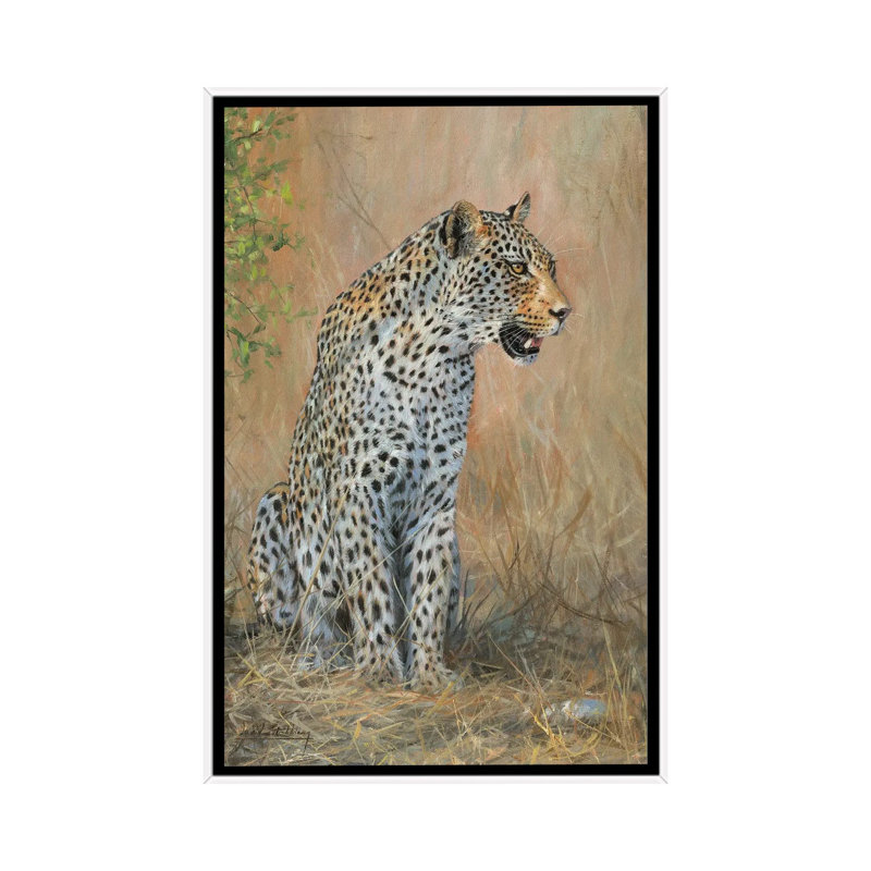 Leopard Male Sitting by David Stribbling - Print on Canvas, 101.6 cm H x 66.04 cm W, White Framed
