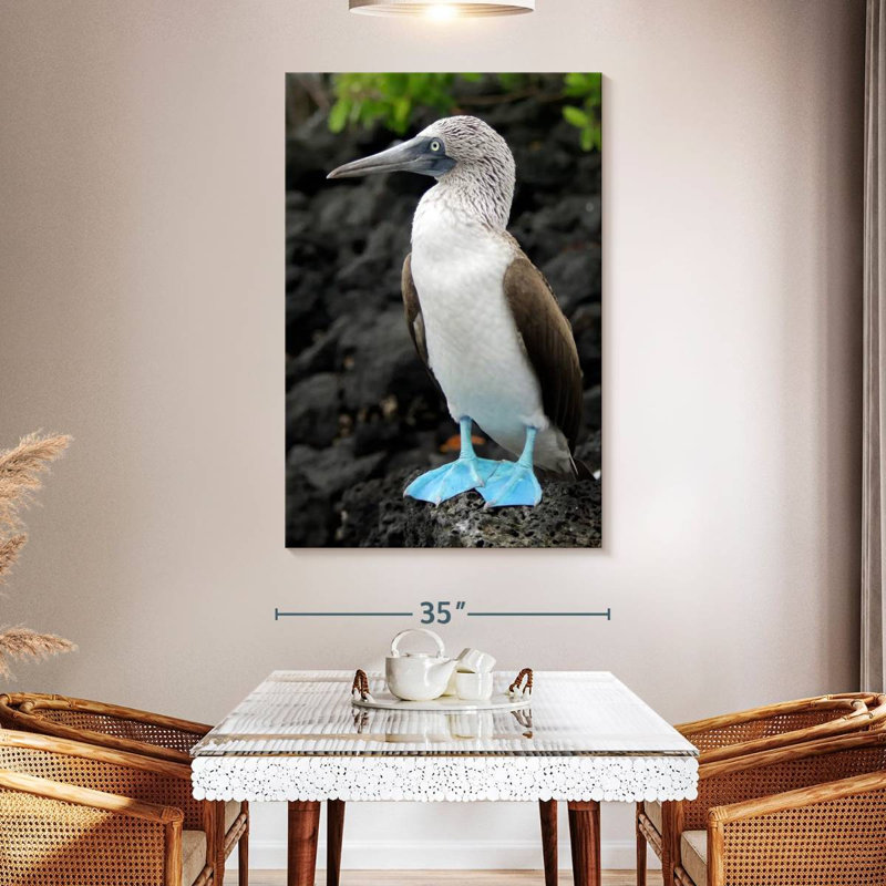 Brampt Blue-Footed Booby Birds, 51" H x 34" W