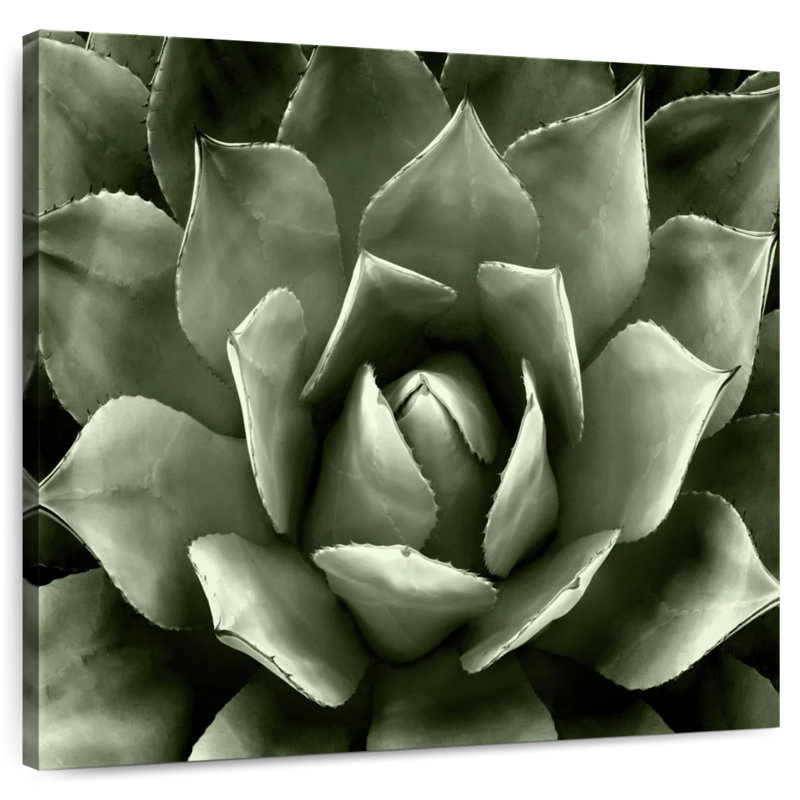 Harnek Green Succulent II