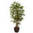 Thisbe 66'' Faux Bamboo Tree in Wood Planter