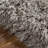 Petrey Indoor Rug-310569117