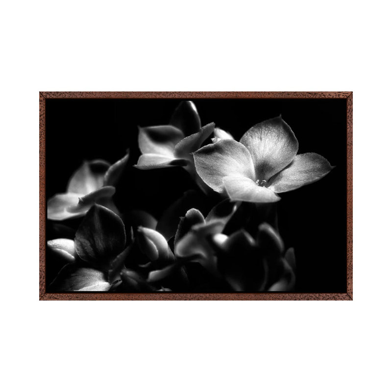 Orchid 1 Piece Wall Art on Canvas, 45.72cm H x 66.04cm W x 3.81cm D, Brown Framed