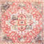 Tapis oriental rouge tissé à plat à la main Joppatowne-48052470