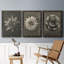 «Blossfeldt Flower I», ensemble de 3 reproductions de photos sur toile-407649714-407649716