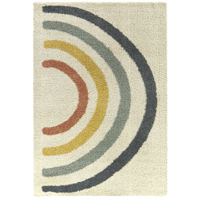 Aldiana Rainbow Shag Area Rug
