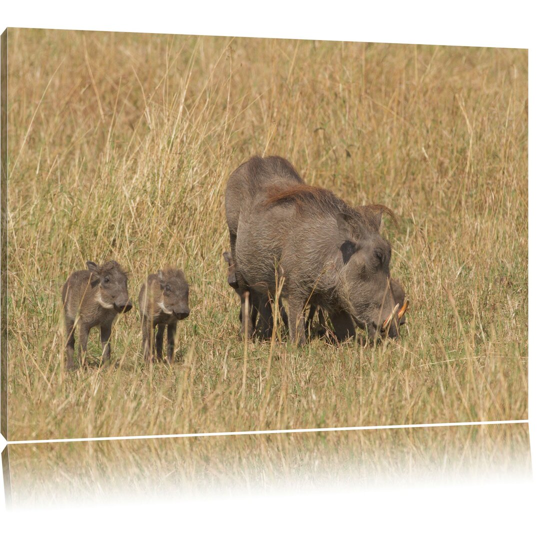 Leinwandbild Warzenschweinfamilie Savanne