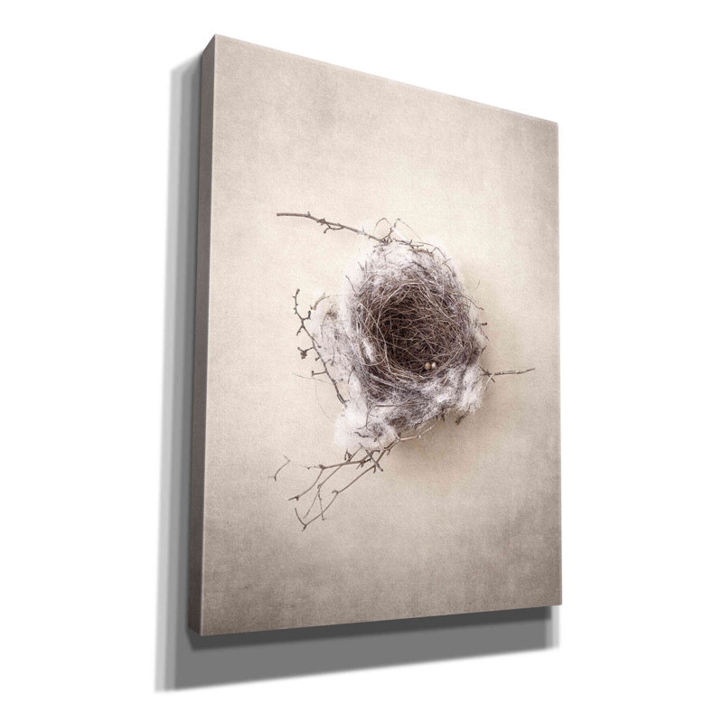 «Latitude III®» Nest III par Debra Van Swearingen, art mural sur toile, H 16 po x l 12 po x P 0,75 po