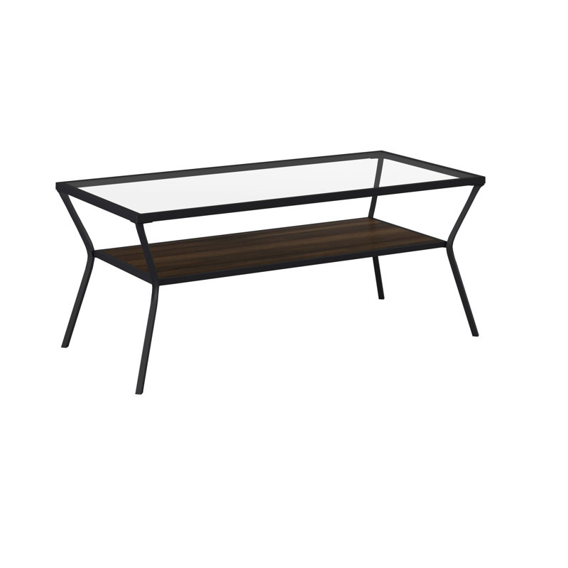 Rahway Coffee Table with Storage, Dark Walnut