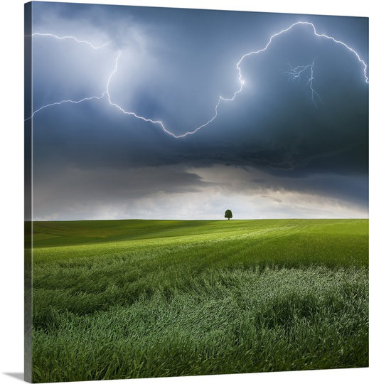 Someplace in Summer by Franz Schumacher Photographic Print on Canvas East Urban Home 