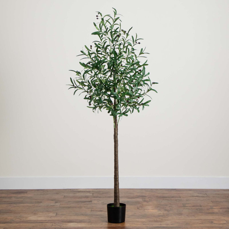 6 pi Olive artificielle éclairée avec 300 lumières DEL blanc chaud