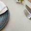 Polyester No Pattern Placemat