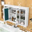 Armoire à pharmacie murale à miroir de salle de bain avec tablettes réglables et rangement ouvert-739700064