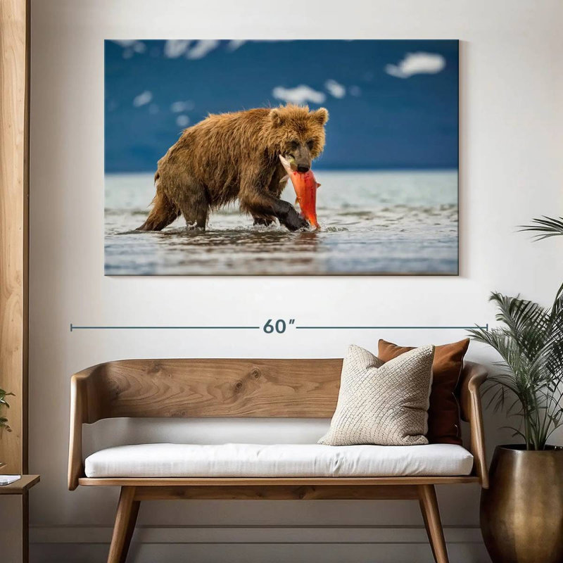 Grizzly de Brampt mangeant du saumon, H 34 po x l 51 po