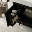 Meuble-lavabo moderne de 29,9 po avec pieds en métal, armoire à grain de bois noir, comptoir en marbre et lavabo en céramique, boutons dorés, sans miroir-271607000-284347315