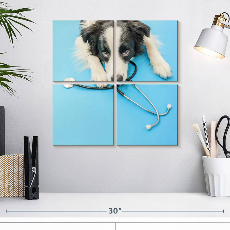 Brampt Dog Doctor, H 18 po x l 18 po