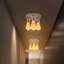 Nantan Spotlight-1513435238-1513435228
