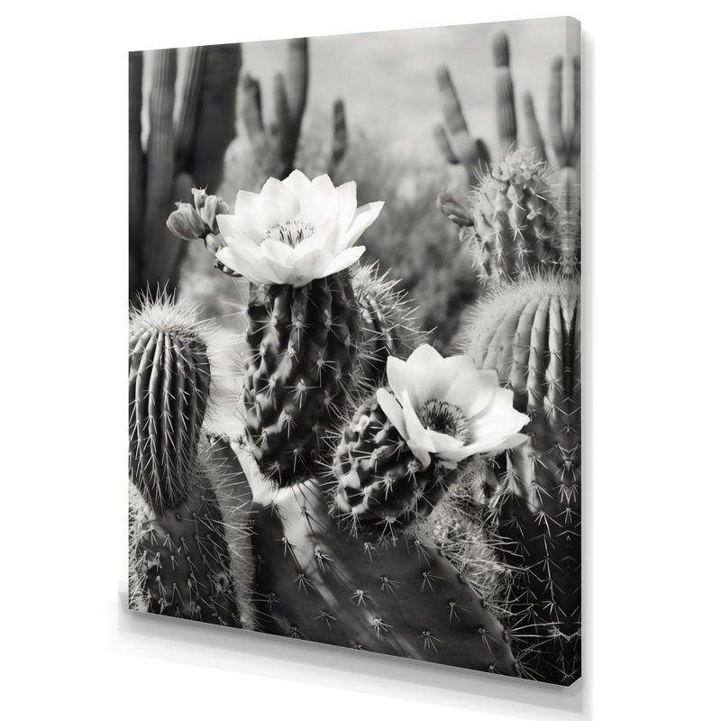 Keymari Gray Desert Cactus III sur toile, H 32 po x l 16 po x P 1 po, Toile tendue