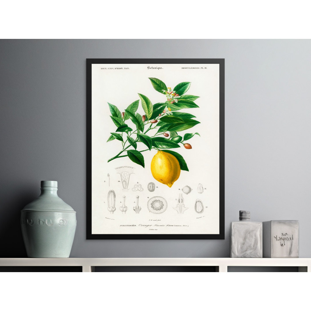 No Frame Print