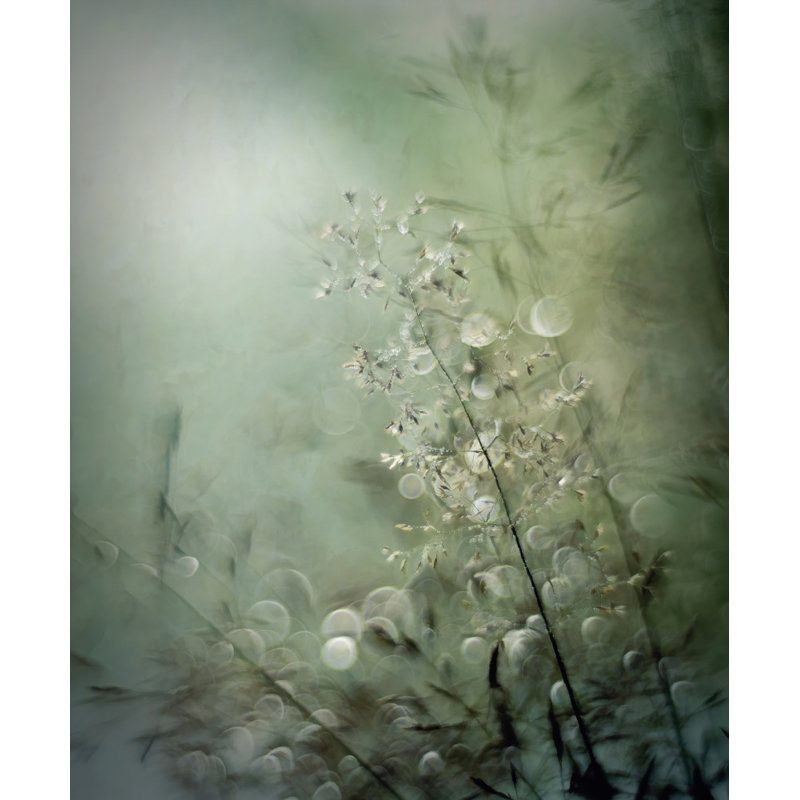 Wrapped Canvas Print, 50.8cm H x 76.2cm W